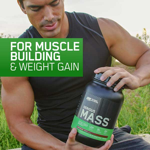 muscle building supplements